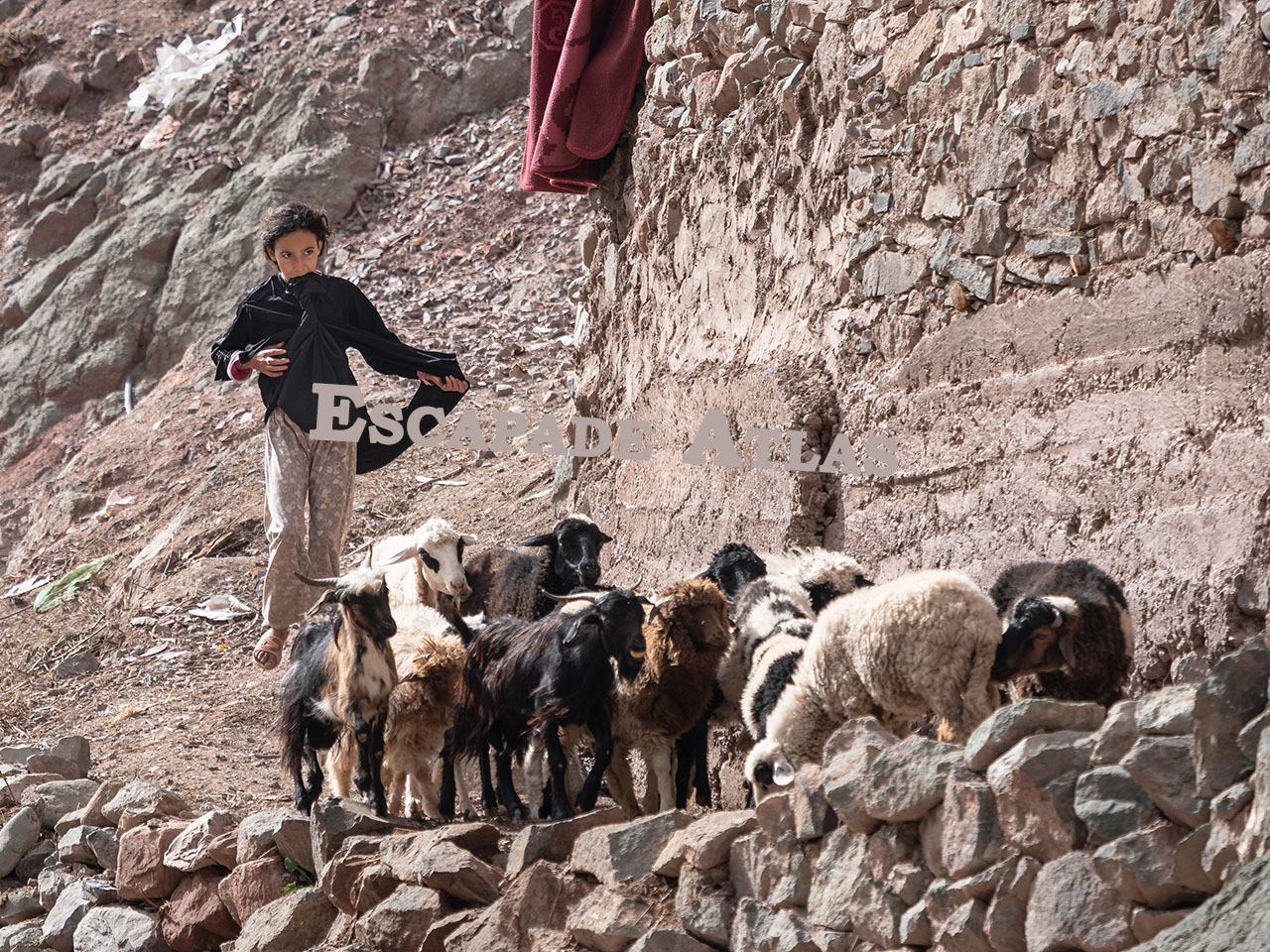 The program in Ait Bougmez valley