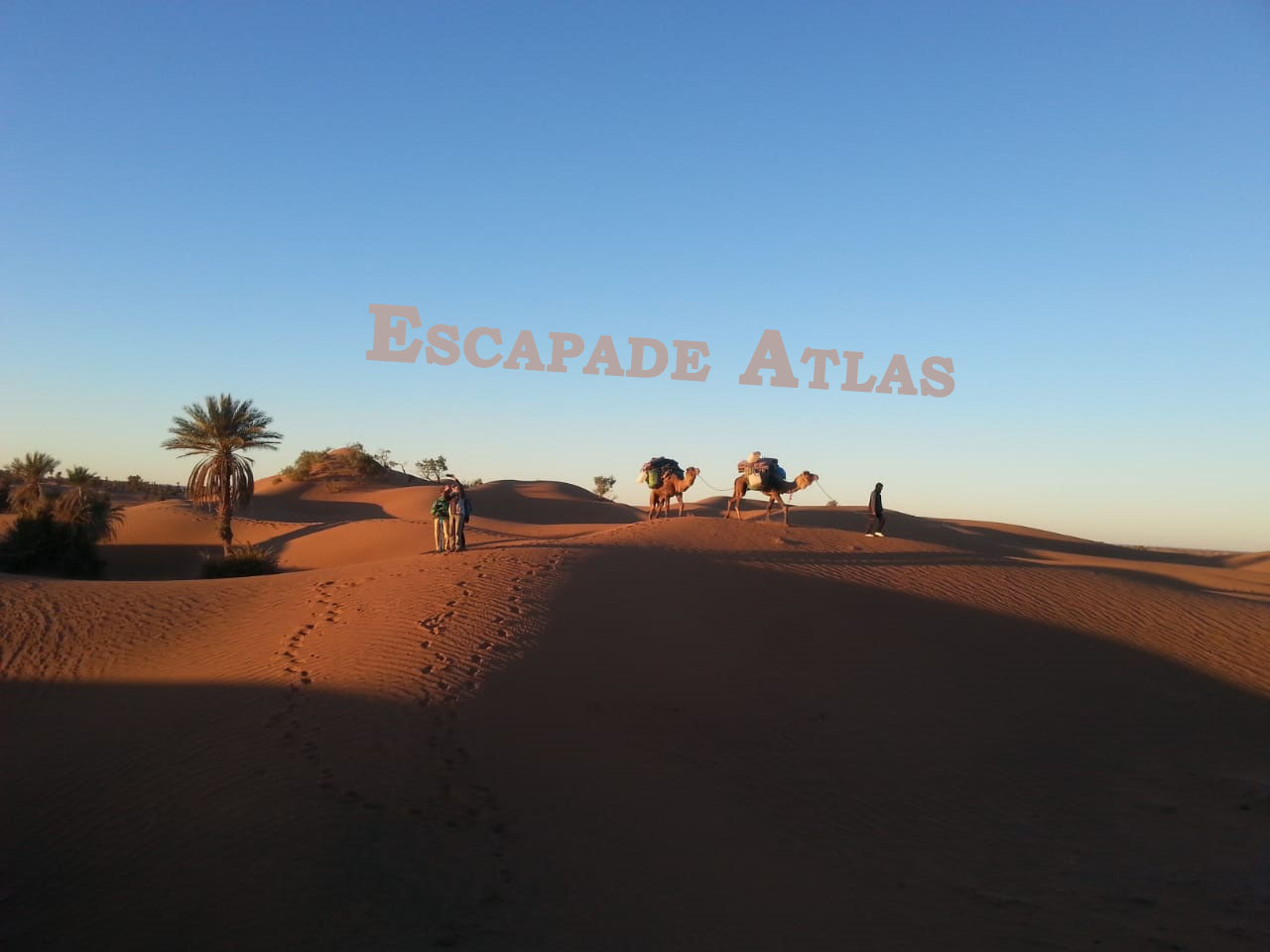 DUNES ET OASIS DU SUD MAROCAIN