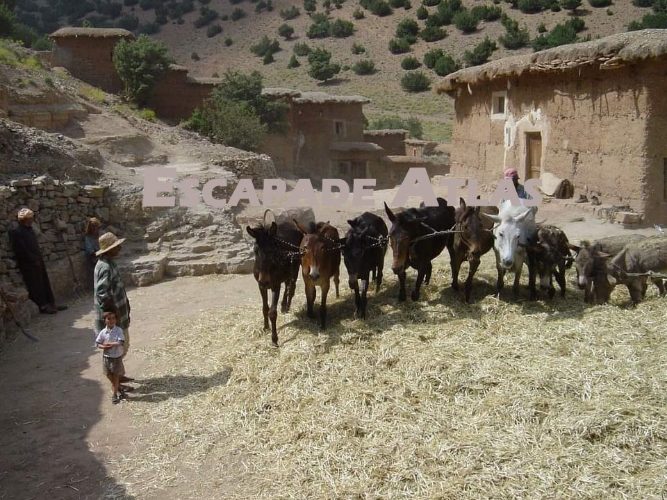 De la vallée des Ait bougmez au cirque de Taghya