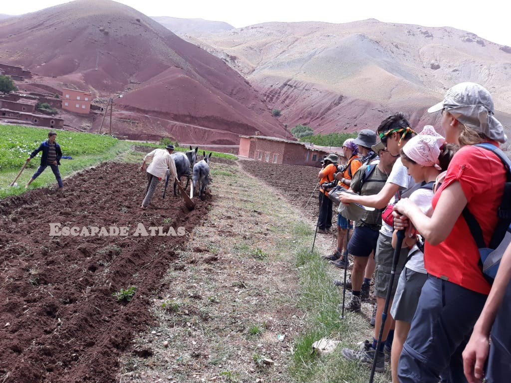 Trek Bougmez and Gorges of M’goun