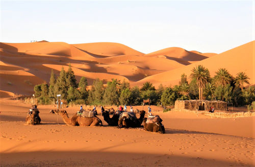 Morocco Desert Tours
