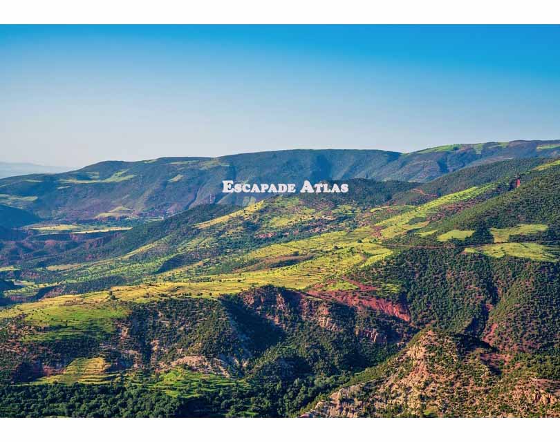 The lakes and Cedar Forests of the Middle Atlas