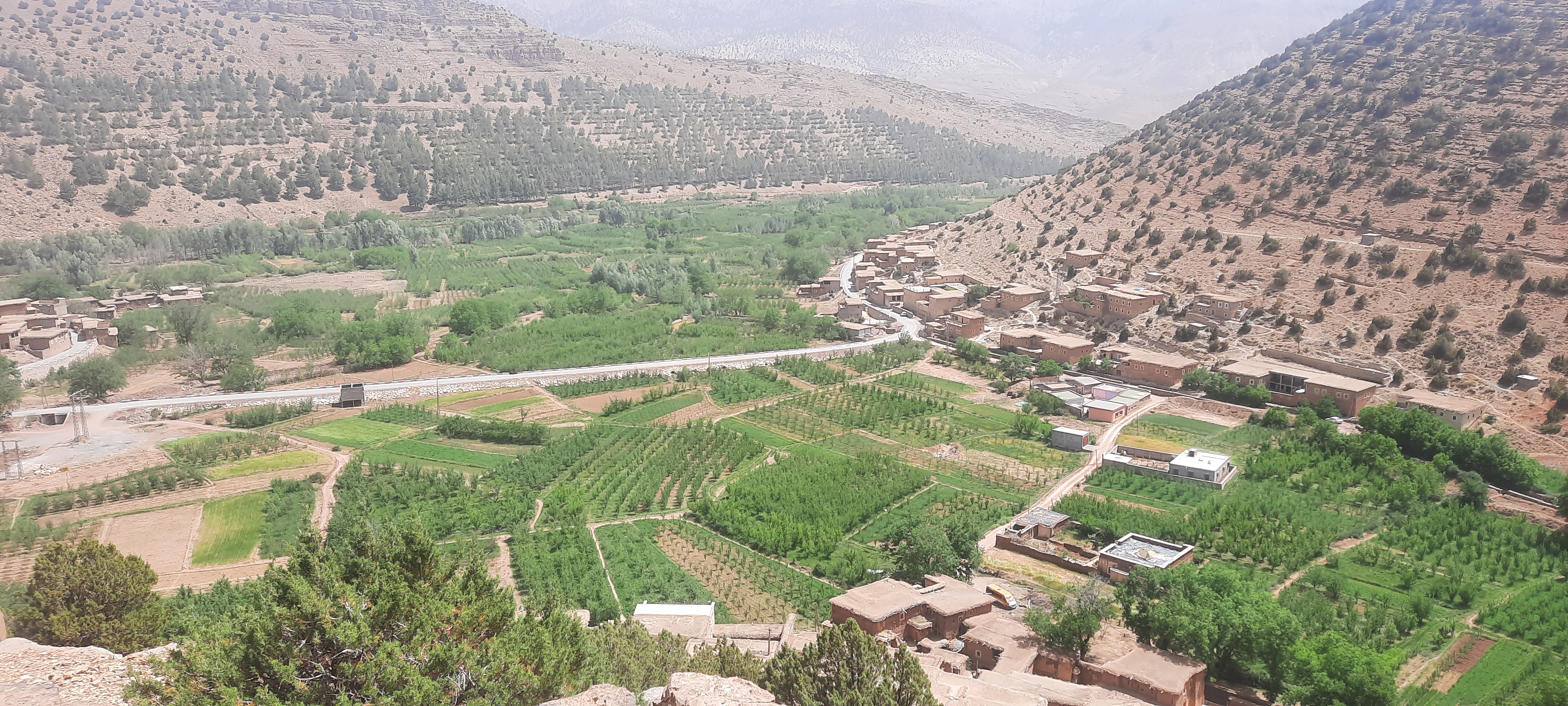 The program in Ait Bougmez valley